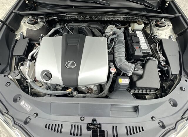 2021 Lexus ES 350 full