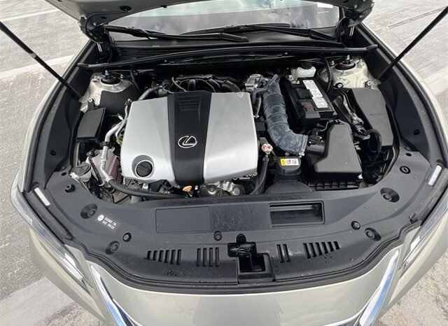 2021 Lexus ES 350 full