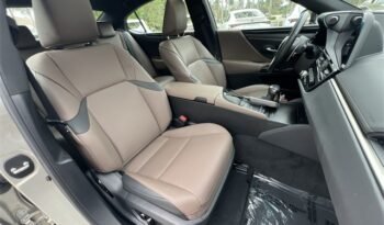 2022 Lexus ES 350 full